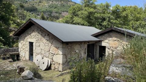 Moradia Isolada T3 Venda em Louriçal do Campo,Castelo Branco