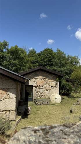 Moradia Isolada T3 Venda em Louriçal do Campo,Castelo Branco