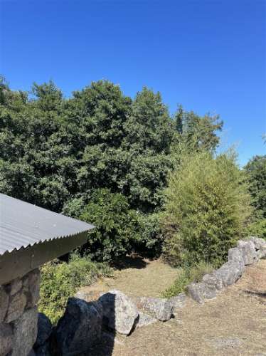 Moradia Isolada T3 Venda em Louriçal do Campo,Castelo Branco