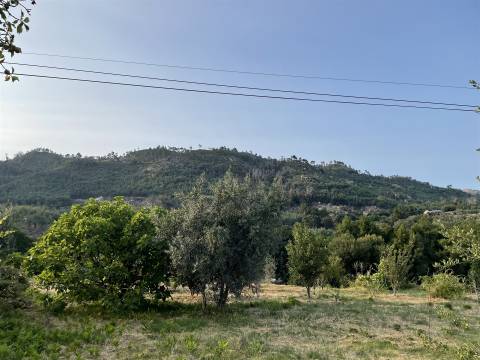 Moradia Isolada T3 Venda em Louriçal do Campo,Castelo Branco