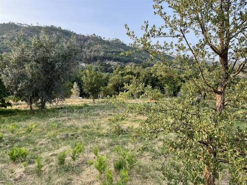 Moradia Isolada T3 Venda em Louriçal do Campo,Castelo Branco