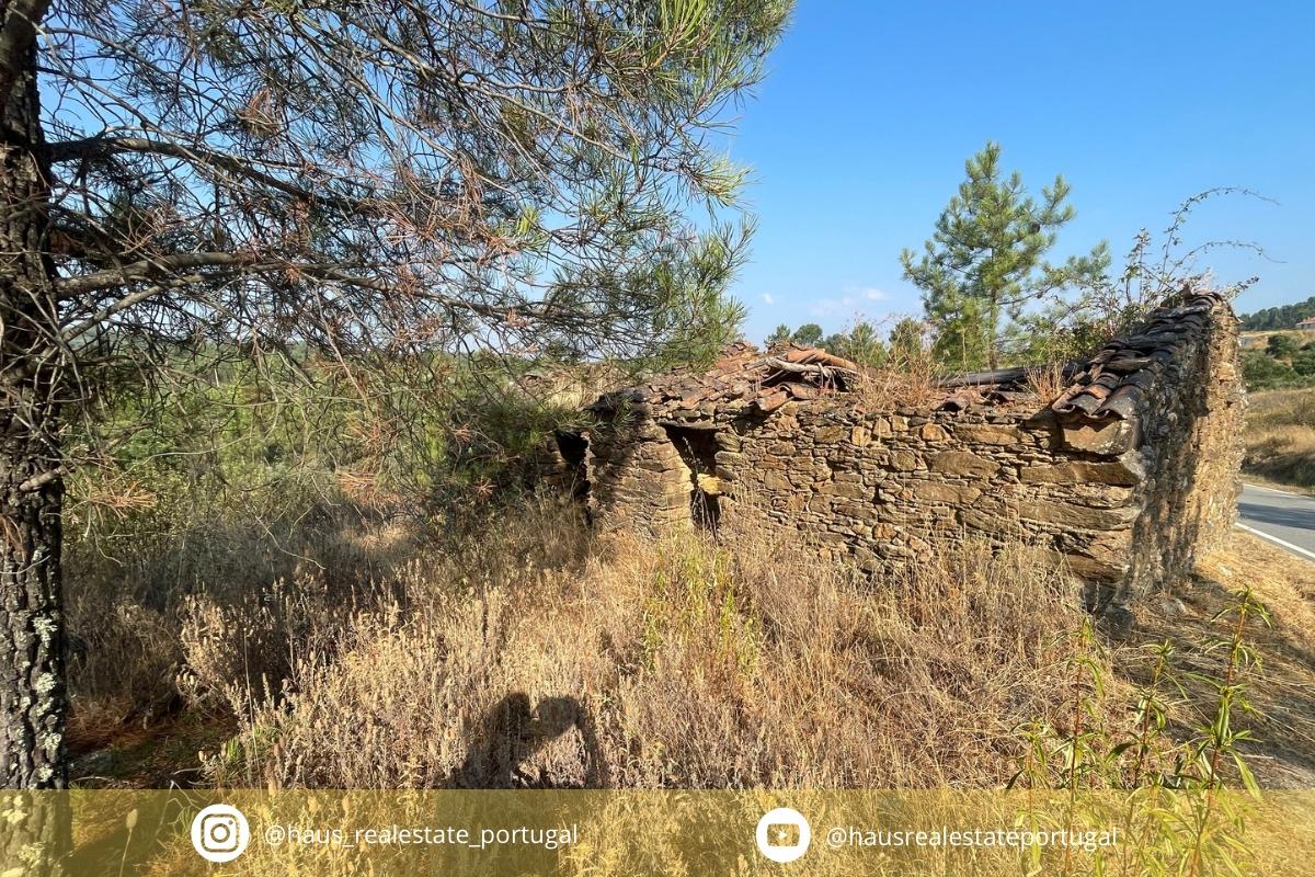 Quinta T0 Venda em Fratel,Vila Velha de Rodão