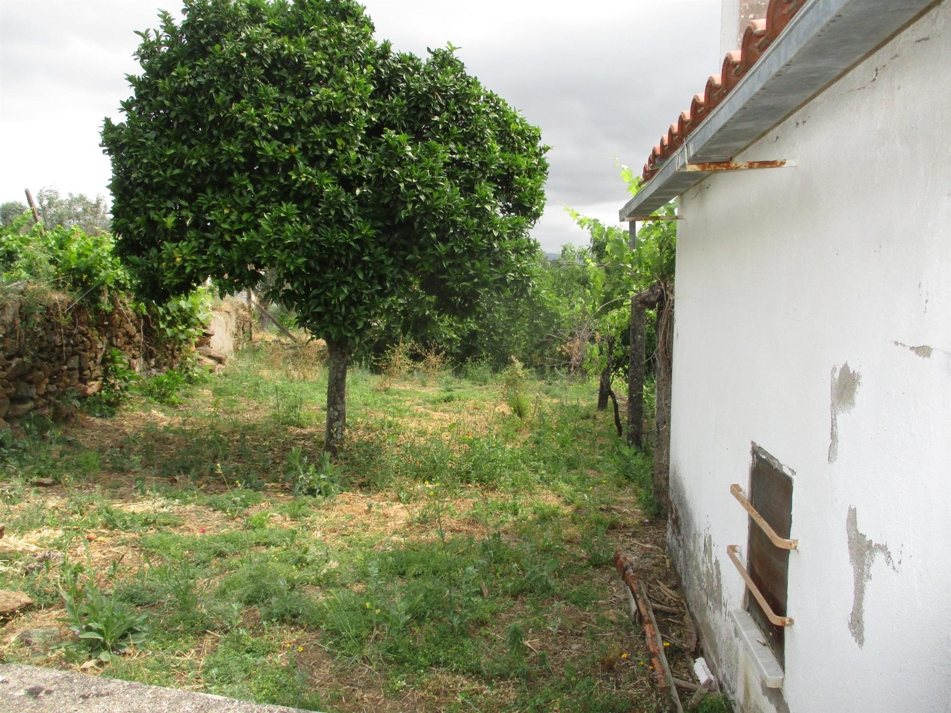 Moradia Isolada T2 Venda em Ninho do Açor e Sobral do Campo,Castelo Branco