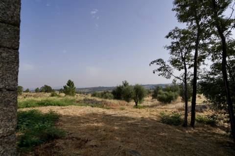 Quinta para venda com casa de habitação para recuperar