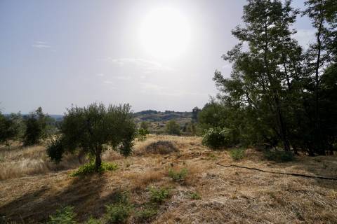 Quinta para venda com casa de habitação para recuperar