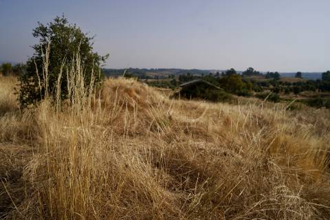 Quinta para venda com casa de habitação para recuperar