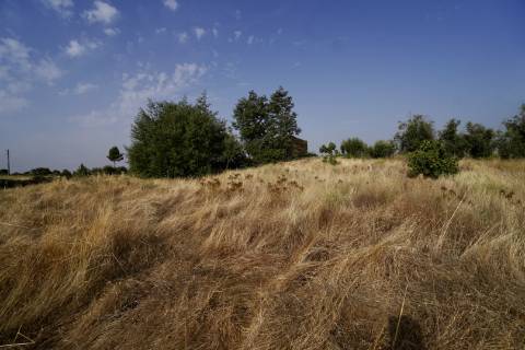 Quinta para venda com casa de habitação para recuperar