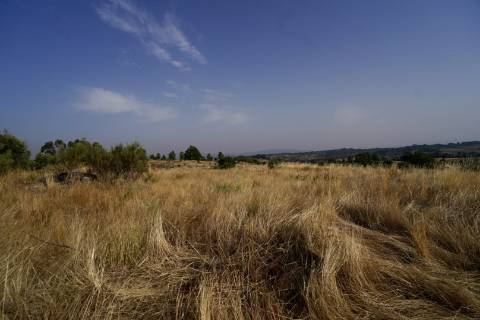 Quinta para venda com casa de habitação para recuperar
