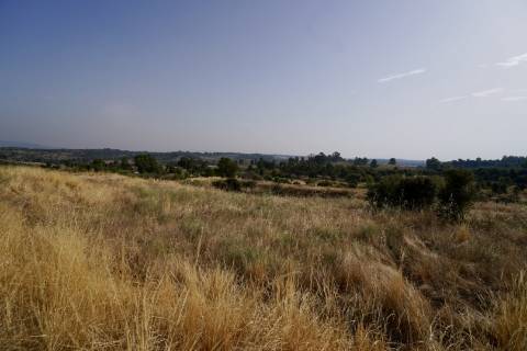 Quinta para venda com casa de habitação para recuperar