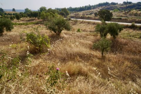 Quinta para venda com casa de habitação para recuperar