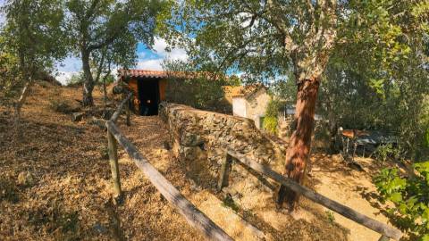 Moradia T1 Arrendamento em Oleiros-Amieira,Oleiros