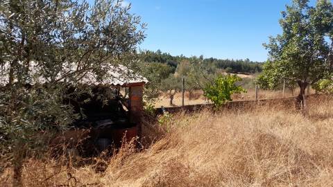 Terreno Urbano  Venda em Benquerenças,Castelo Branco