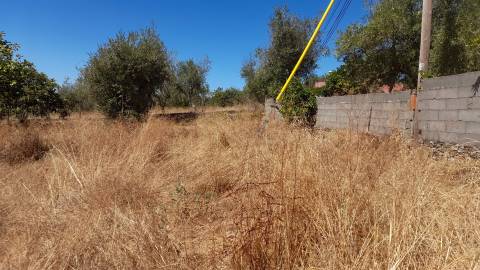 Terreno Urbano  Venda em Benquerenças,Castelo Branco