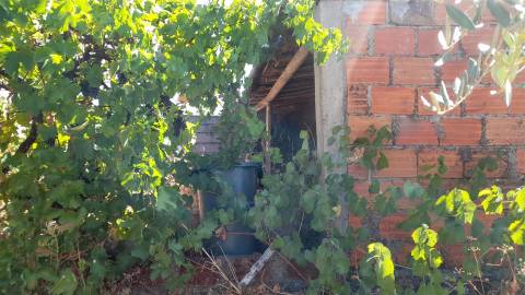 Terreno Urbano  Venda em Benquerenças,Castelo Branco