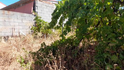 Terreno Urbano  Venda em Benquerenças,Castelo Branco