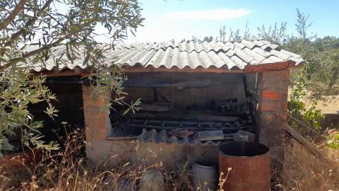 Terreno Urbano  Venda em Benquerenças,Castelo Branco
