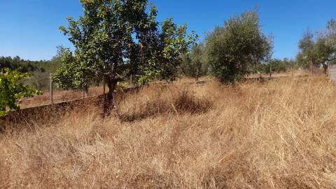 Terreno Urbano  Venda em Benquerenças,Castelo Branco