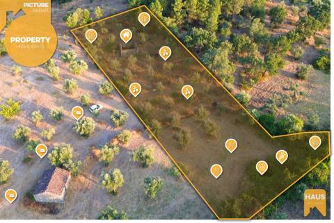 Terreno Rústico de 2.400 m² – 30m2 Ruína, Poço em Pedra, Olival