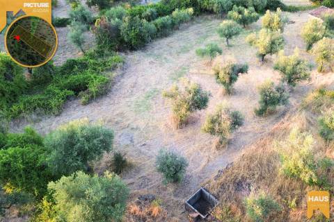 Terreno Rústico de 2.400 m² – 30m2 Ruína, Poço em Pedra, Olival