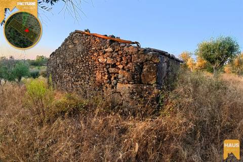 Terreno Rústico de 2.400 m² – 30m2 Ruína, Poço em Pedra, Olival