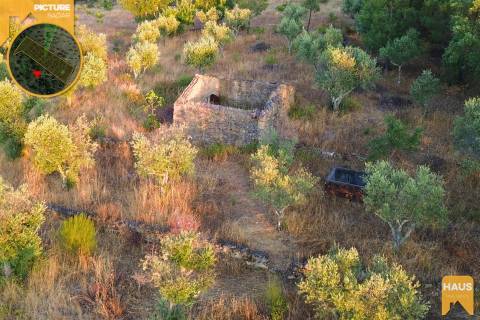 Terreno Rústico de 2.400 m² – 30m2 Ruína, Poço em Pedra, Olival