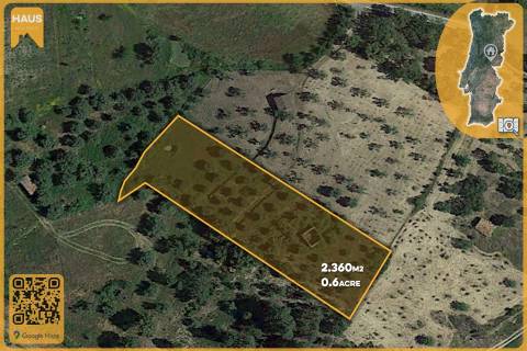 Terreno Rústico de 2.400 m² – 30m2 Ruína, Poço em Pedra, Olival