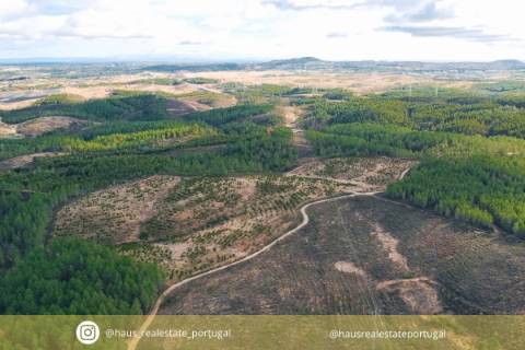 Terreno Rústico  Venda em Benquerenças,Castelo Branco