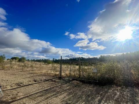 Terreno Rústico  Venda em Benquerenças,Castelo Branco