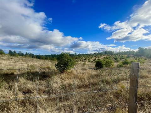 Terreno Rústico  Venda em Benquerenças,Castelo Branco