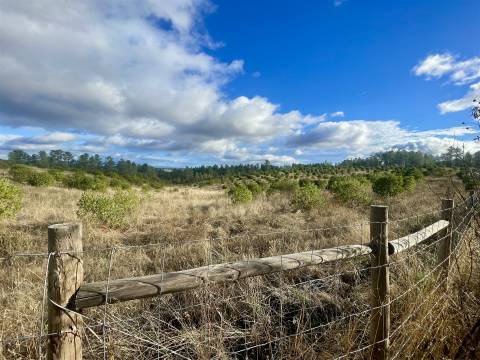 Terreno Rústico  Venda em Benquerenças,Castelo Branco