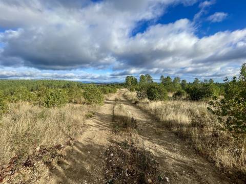 Terreno Rústico  Venda em Benquerenças,Castelo Branco