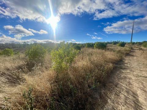 Terreno Rústico  Venda em Benquerenças,Castelo Branco