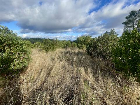 Terreno Rústico  Venda em Benquerenças,Castelo Branco