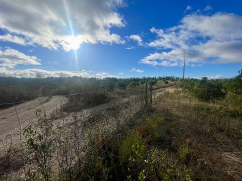 Terreno Rústico  Venda em Benquerenças,Castelo Branco