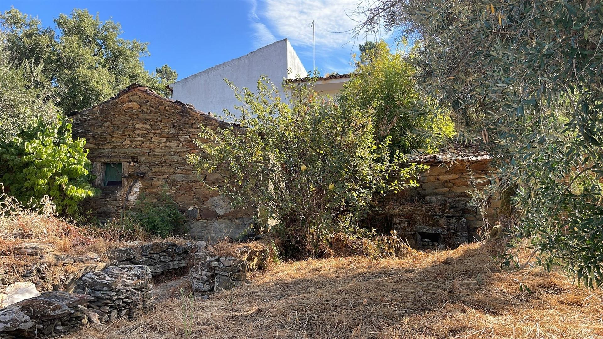 Moradia Rústica T4 Venda em Sarzedas,Castelo Branco