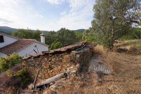 Moradia Rústica T4 Venda em Sarzedas,Castelo Branco