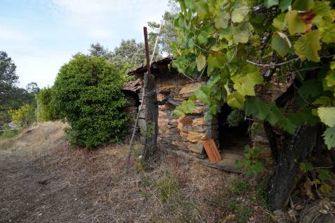 Moradia Rústica T4 Venda em Sarzedas,Castelo Branco