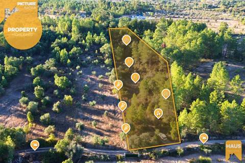 Terreno Rústico de 2.700 m² – Muros em Granito, Pinhal Adulto, Árvores de Fruto