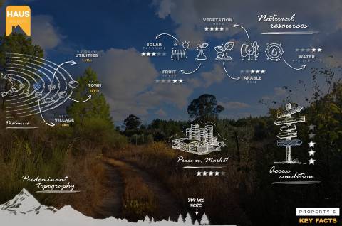 Terreno Rústico de 2.700 m² – Muros em Granito, Pinhal Adulto, Árvores de Fruto