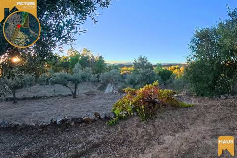 Terreno Rústico de 2.900 m² em Juncal do Campo – Castelo Branco.