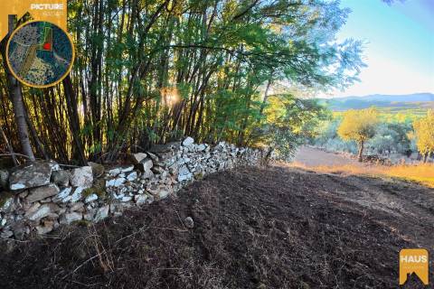 Terreno Rústico de 2.900 m² em Juncal do Campo – Castelo Branco.