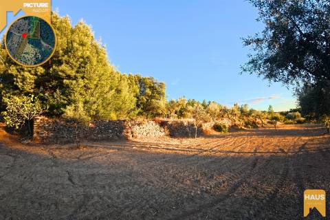 Terreno Rústico de 2.900 m² em Juncal do Campo – Castelo Branco.