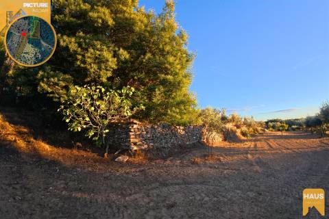 Terreno Rústico de 2.900 m² em Juncal do Campo – Castelo Branco.
