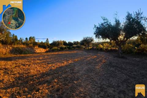 Terreno Rústico de 2.900 m² em Juncal do Campo – Castelo Branco.