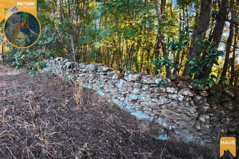 Terreno Rústico de 2.900 m² em Juncal do Campo – Castelo Branco.