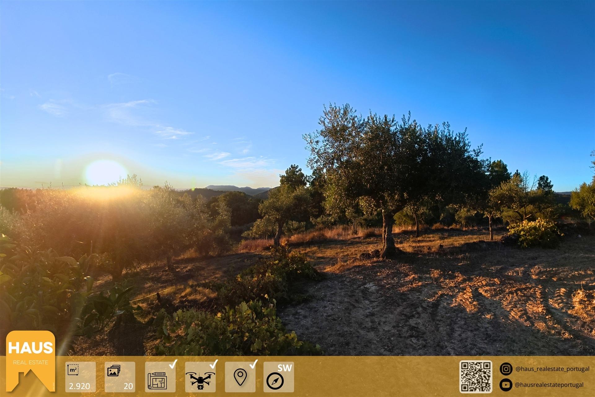 Terreno Rústico de 2.900 m² em Juncal do Campo – Castelo Branco.