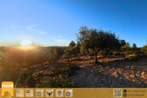Terreno Rústico de 2.900 m² em Juncal do Campo – Castelo Branco.