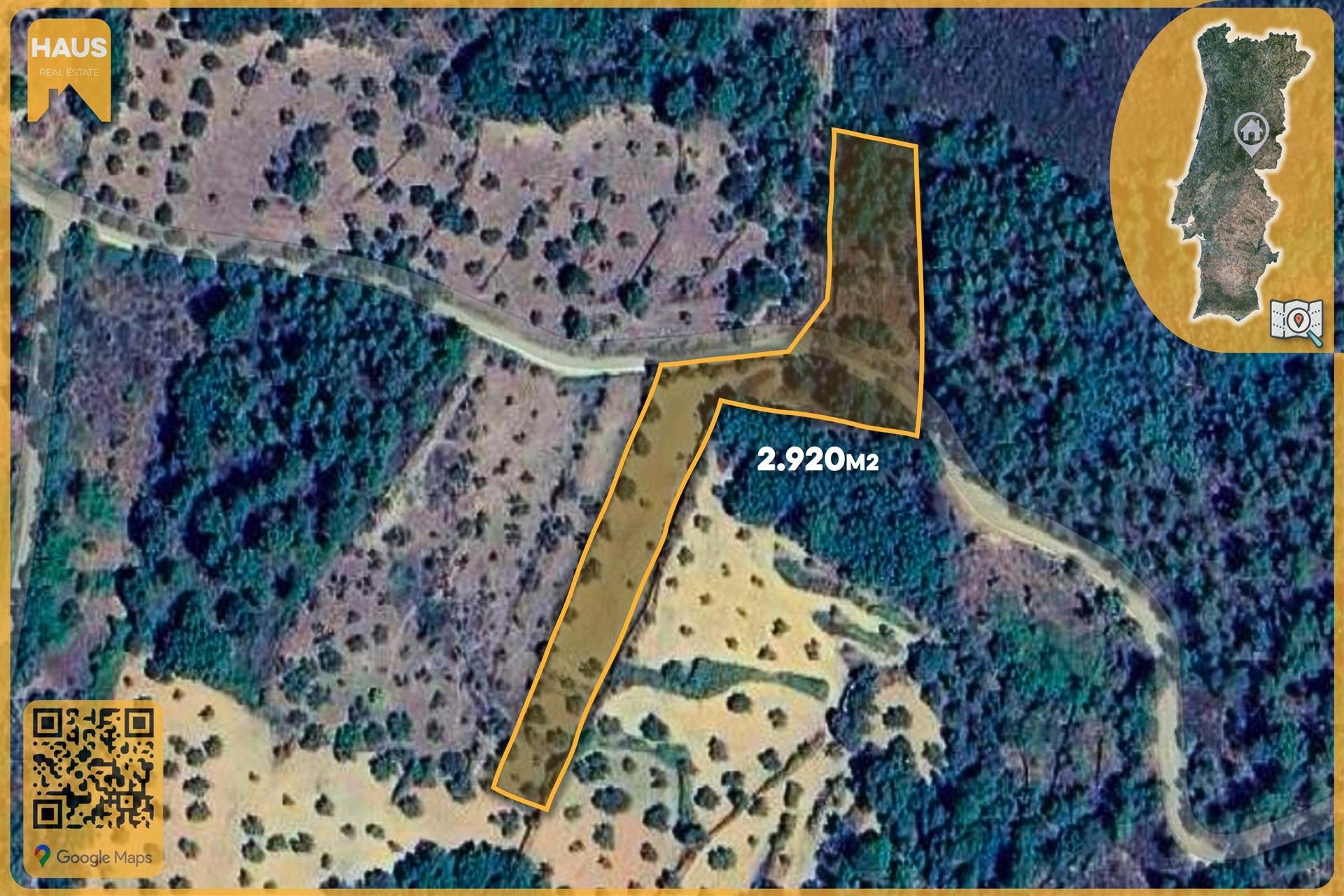 Terreno Rústico de 2.900 m² em Juncal do Campo – Castelo Branco.