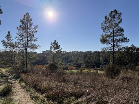 Quinta 5900m2 com ruína registada, barragem, 2 poços e eletricidade — Vilares de Baixo