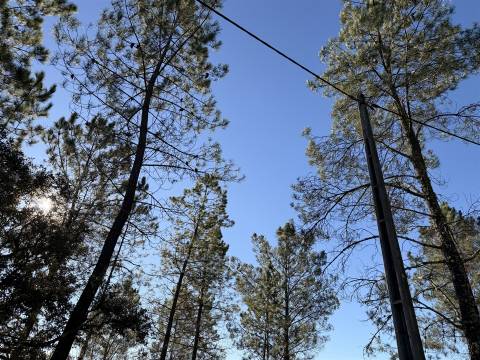 Quinta 5900m2 com ruína registada, barragem, 2 poços e eletricidade — Vilares de Baixo